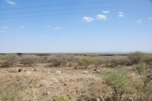 DSC_0283_result.jpg