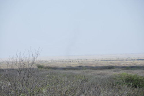 DSC_0284_result.jpg